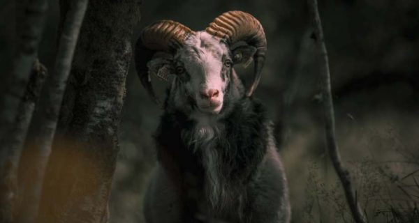 Ram’s Horns: Isaac Narrates the Sacrifice on Moriah