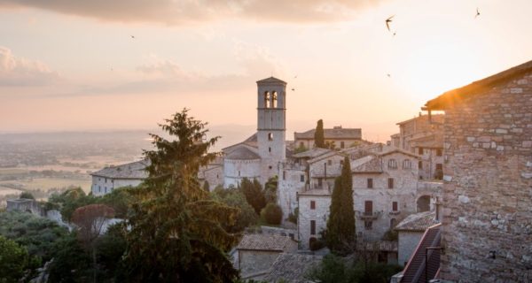 Walking the Green Path: An Herbalist Discovers Her Calling in Assisi