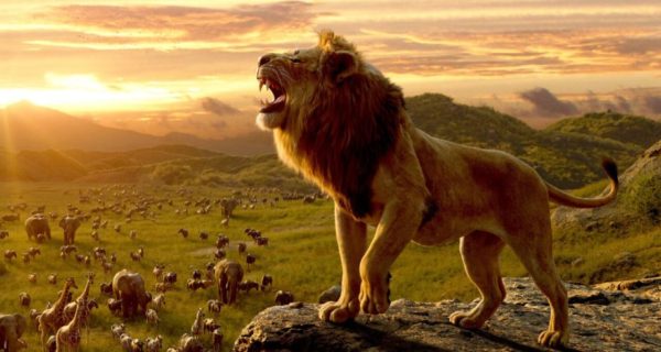 A Review of The Lion King: Live-Action Remake