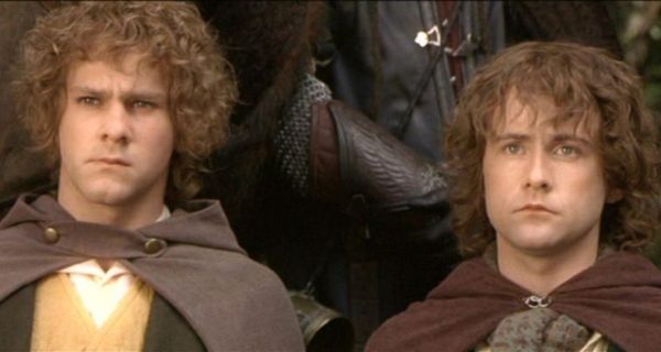 Hobbits in Waiting: A Lord of the Rings Story
