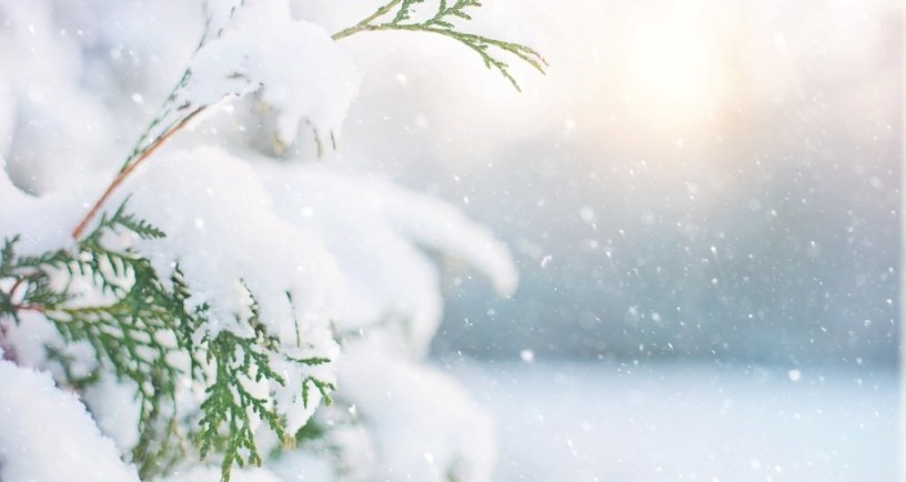 Image by Jill Wellington/Pixabay.com