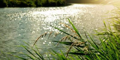 river bank