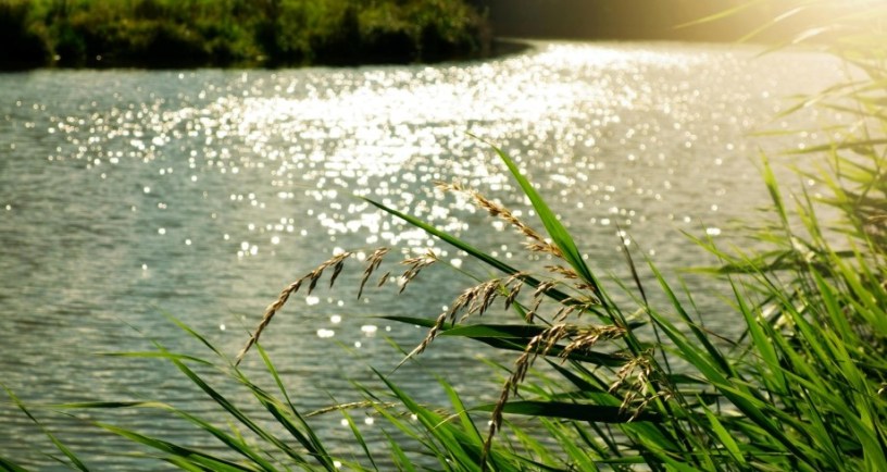 river bank