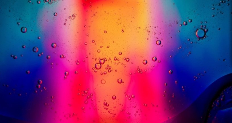 Surprising colors. Photo by Julian Hochgesang on Unsplash
