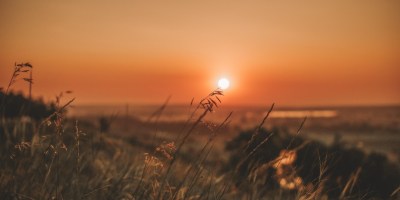 Summer field sunset