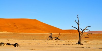 Desert dune. Photo by Liesl Gullan from Pixabay.jpg