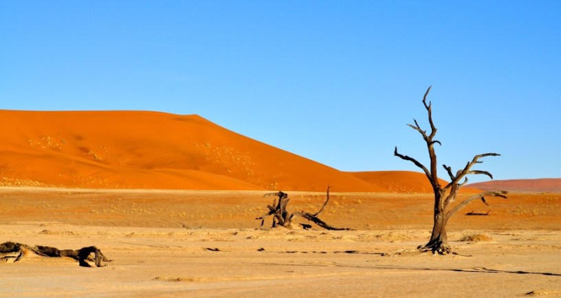 Desert dune. Photo by Liesl Gullan from Pixabay.jpg
