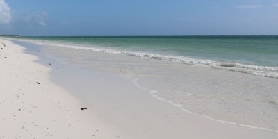 White sand beech Photo Credit: Ana Kenk/Pexels https://www.pexels.com/photo/serene-beachscape-in-zanzibar-s-mjini-magharibi-36468248/