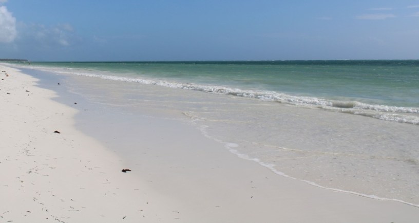 White sand beech Photo Credit: Ana Kenk/Pexels https://www.pexels.com/photo/serene-beachscape-in-zanzibar-s-mjini-magharibi-36468248/